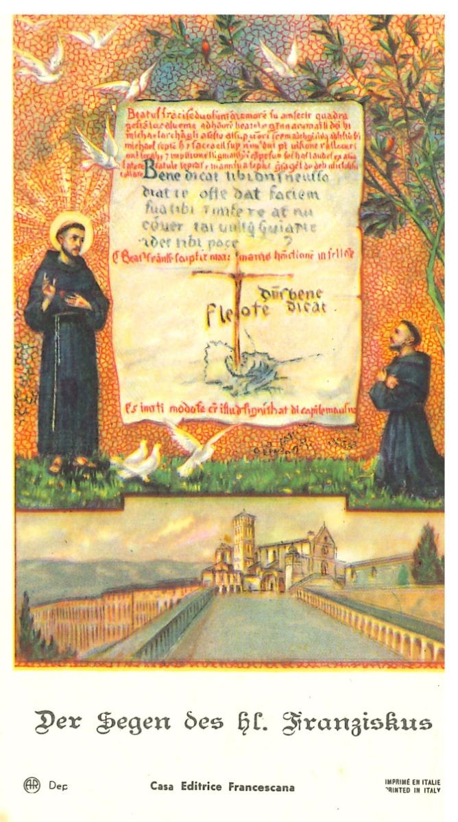  Voderseite