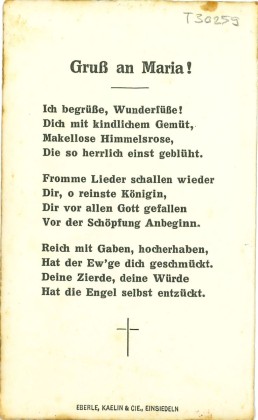  Rückseite