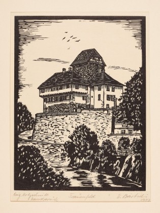 Holzschnitt: Schloss Frauenfeld mit Murg