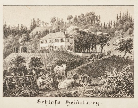 Grafik: Schloss Heidelberg in Hohentannen