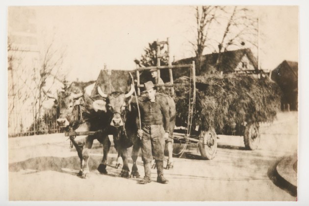 Fotografie: Heinrich Ernst (1920–1973) mit Ochsenfuhrwerk, beladen mit Kuhmist, an einer Kreuzung in Kurzdorf (Frauenfeld)
